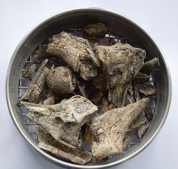 Cremated bone